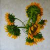 Sunflower - You Are Sunshine Above All - The Art of Katherine Jeans